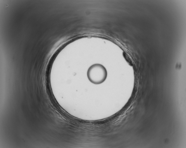 X0000097980199200804211047