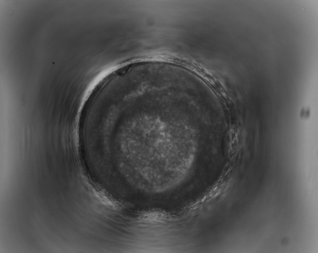 X0000097980200200804211047