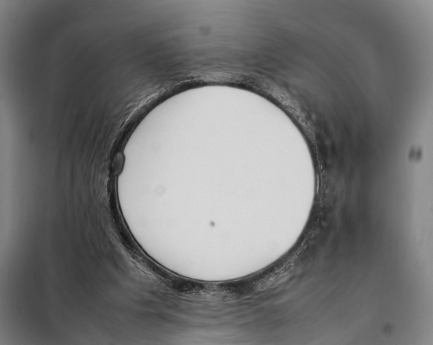 X0000097980201200804211047