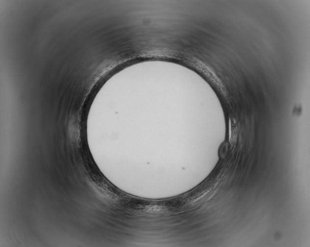 X0000097980204200804211047