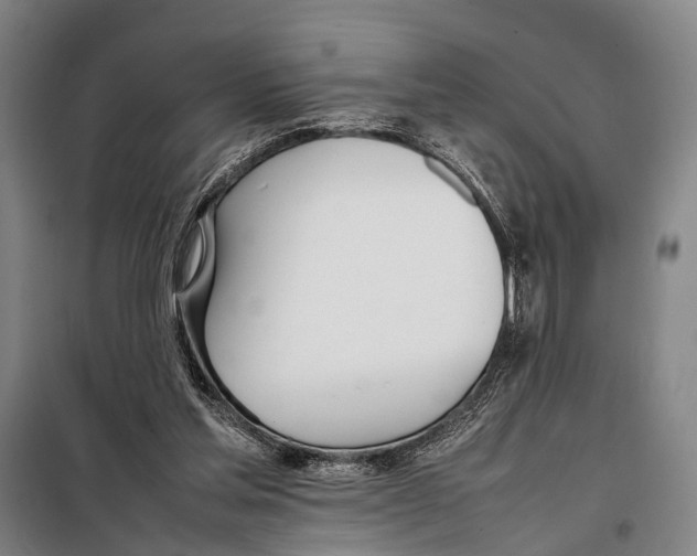 X0000097980205200804211047