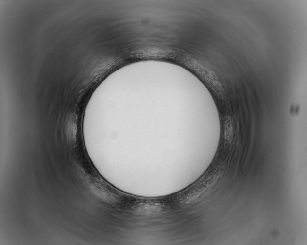 X0000097980206200804211046