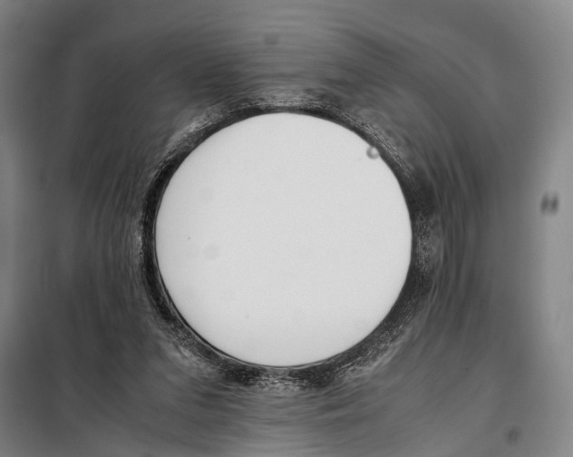 X0000097980207200804211046