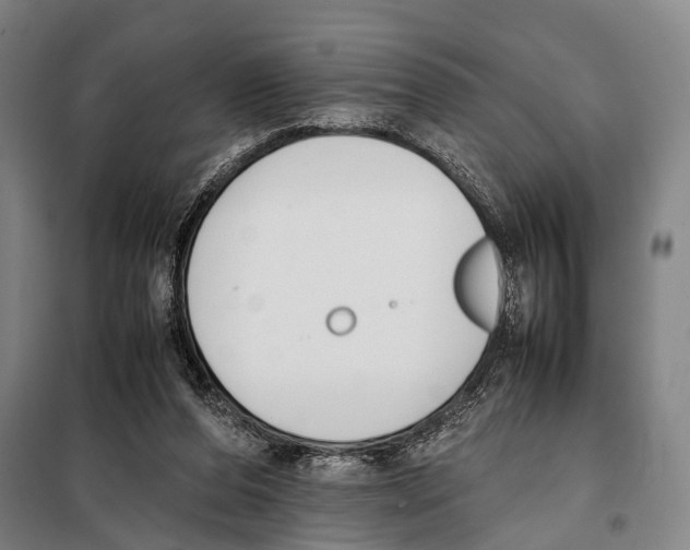 X0000097980208200804211046