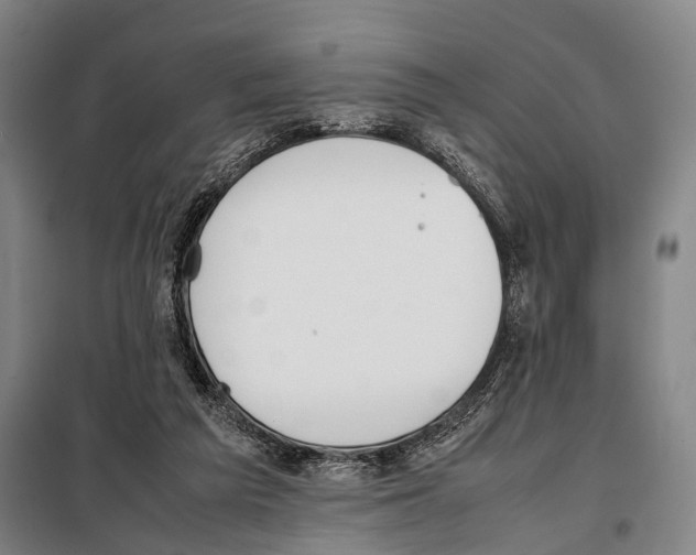 X0000097980209200804211046