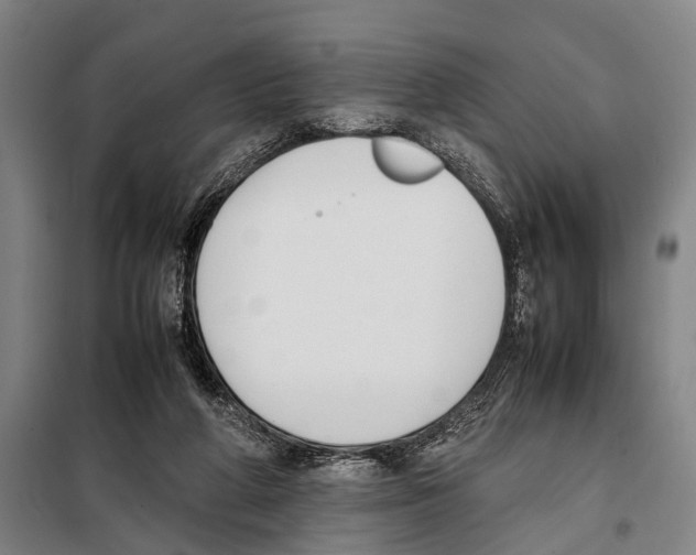 X0000097980210200804211046