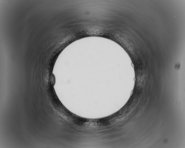 X0000097980211200804211046