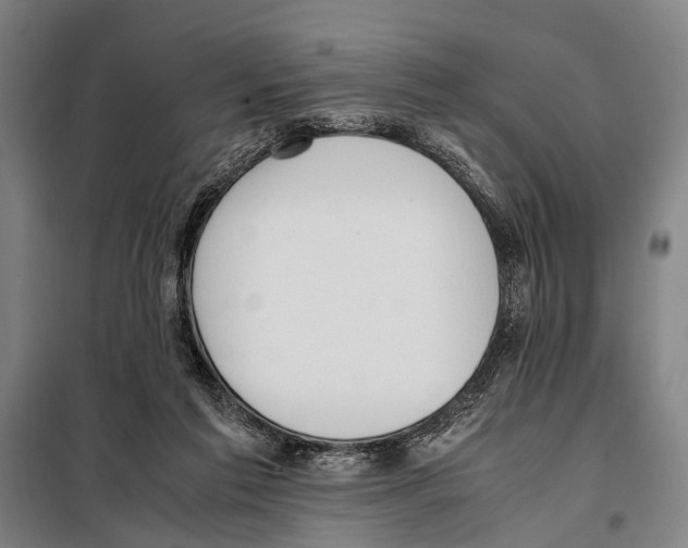 X0000097980213200804211046