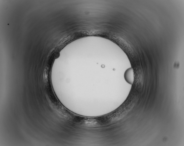 X0000097980214200804211046