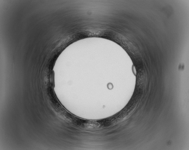 X0000097980215200804211046