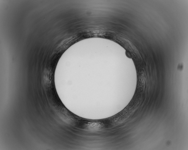 X0000097980218200804211046