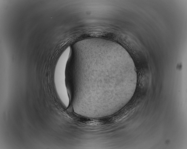 X0000097980219200804211046