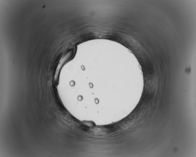 X0000097980221200804211046