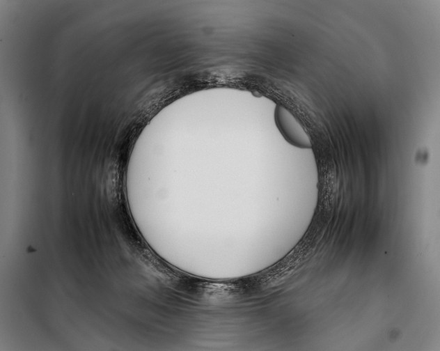 X0000097980222200804211046