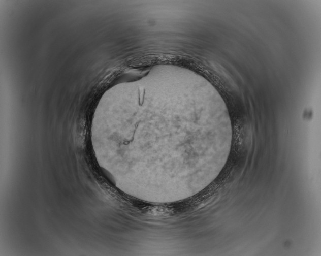 X0000097980223200804211046