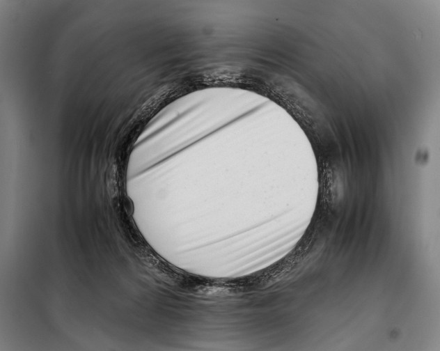 X0000097980224200804211046