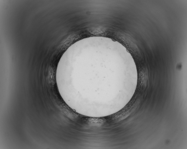 X0000097980234200804211046