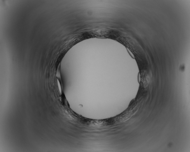 X0000097980235200804211046