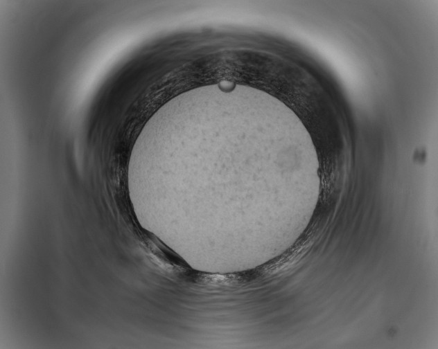 X0000097980239200804211046