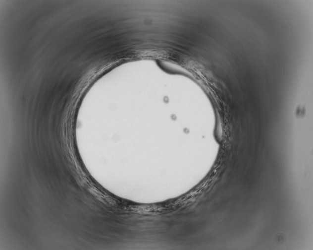 X0000097980241200804211045