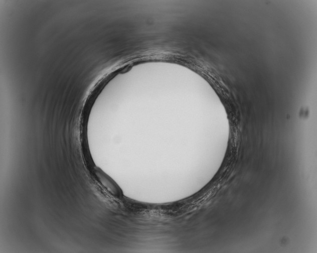 X0000097980244200804211045