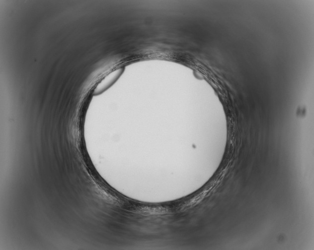 X0000097980245200804211045