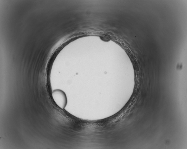 X0000097980246200804211045