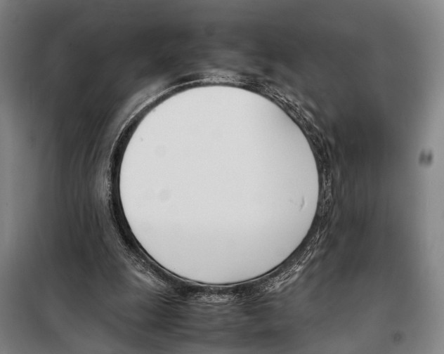 X0000097980247200804211045