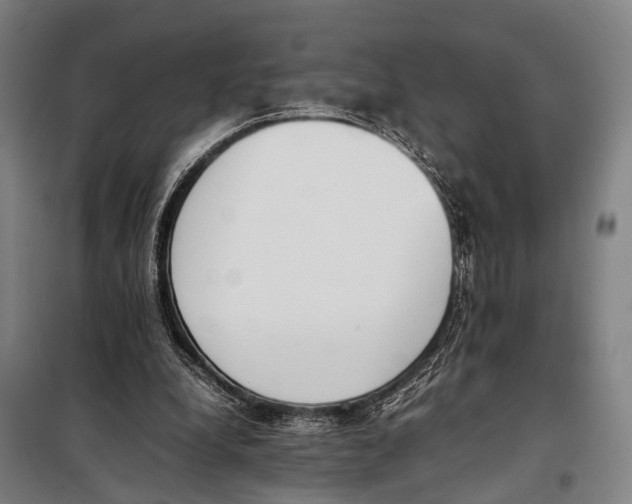 X0000097980248200804211045