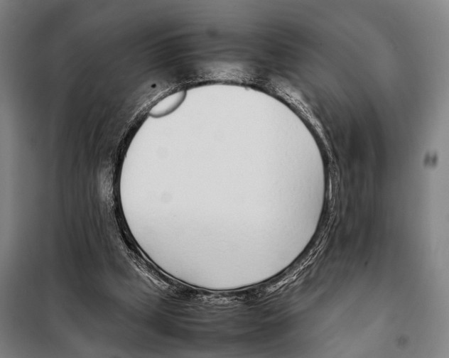 X0000097980249200804211045