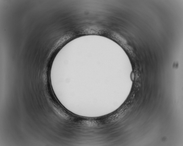 X0000097980250200804211045