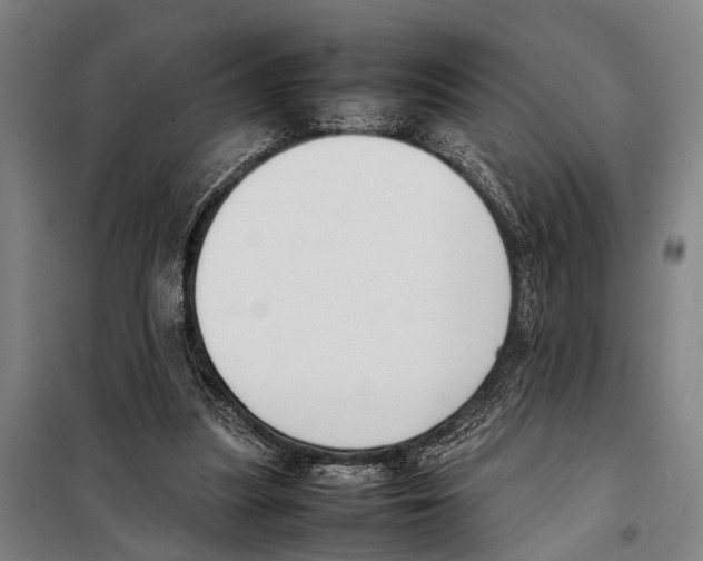 X0000097980251200804211045