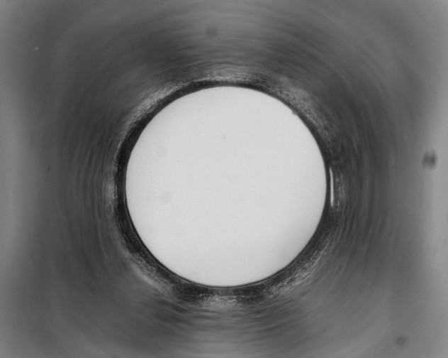 X0000097980252200804211045