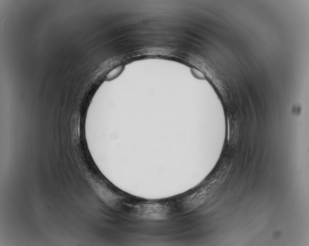 X0000097980253200804211045