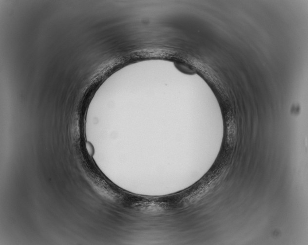 X0000097980254200804211045