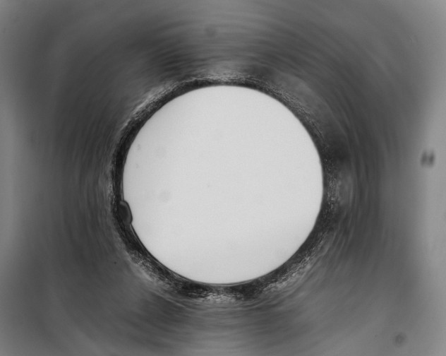 X0000097980256200804211045