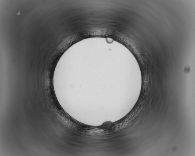 X0000097980257200804211045