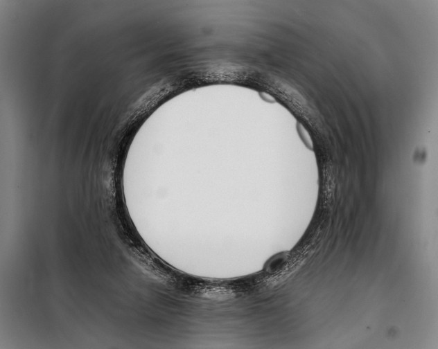 X0000097980258200804211045