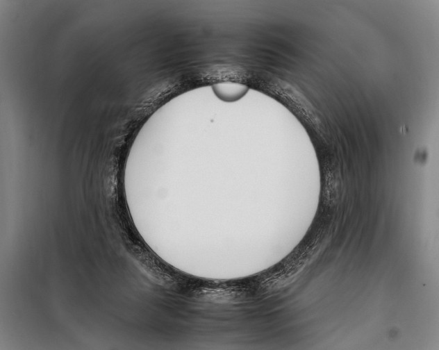 X0000097980259200804211045