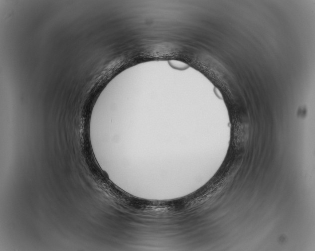 X0000097980260200804211045