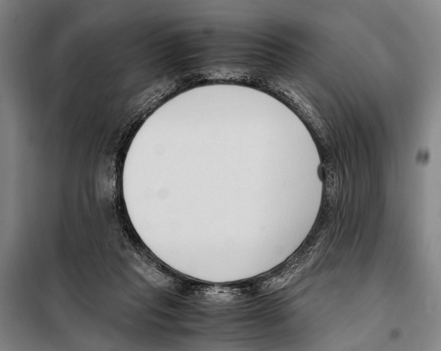 X0000097980261200804211045