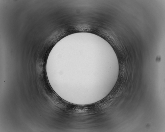 X0000097980263200804211045