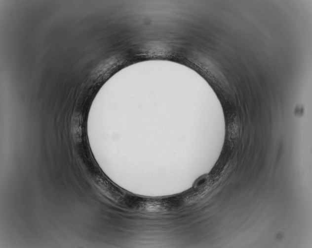 X0000097980264200804211046