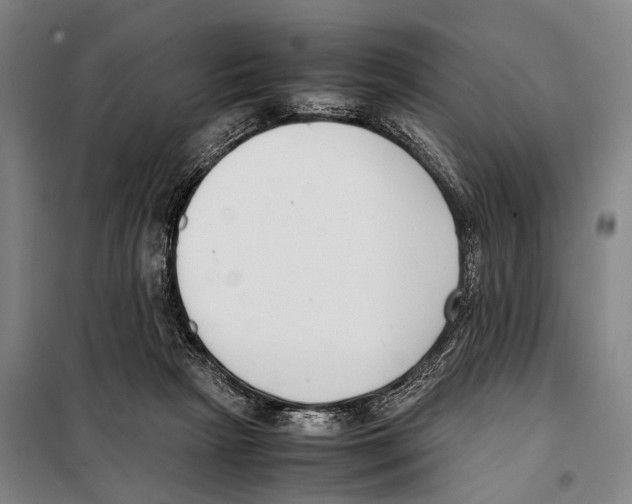 X0000097980265200804211046