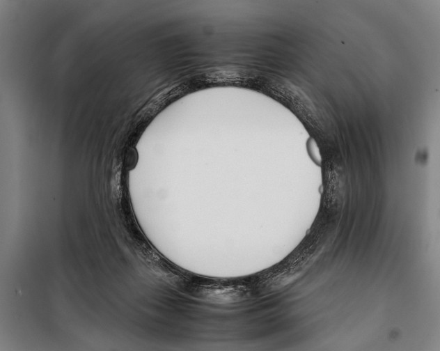 X0000097980267200804211046