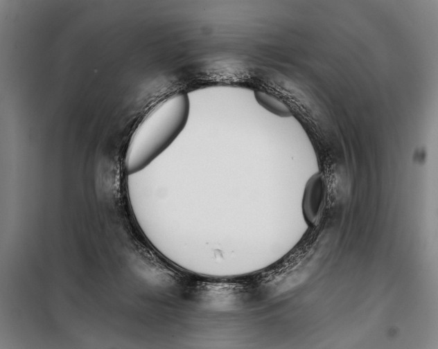 X0000097980268200804211046