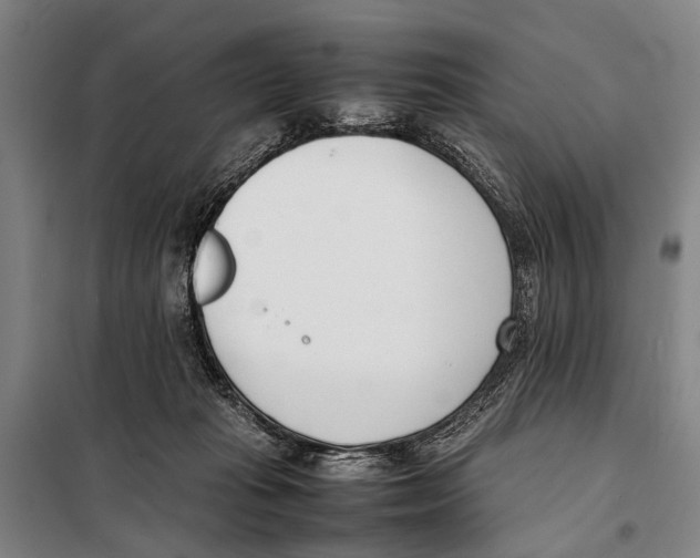 X0000097980269200804211046