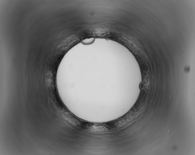 X0000097980270200804211046