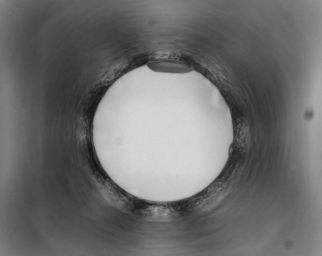 X0000097980272200804211046