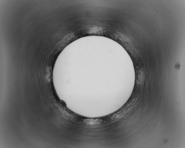 X0000097980273200804211046